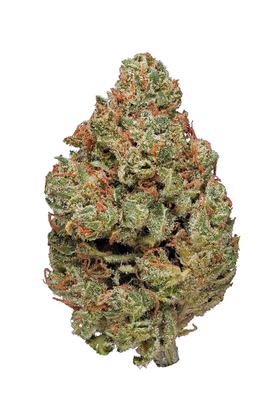 Sour Chelumbian - Híbrido Cannabis Strain