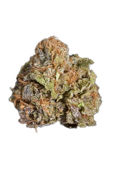 Sour Chocolate - Sativa Cannabis Strain