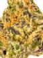 Sour Cream Hybrid Cannabis Strain Thumbnail