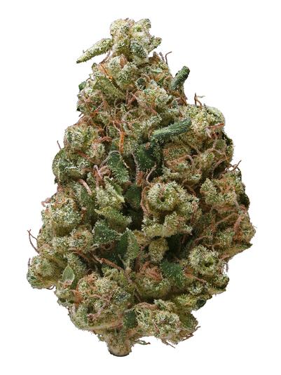 Sour Dawg - Híbrido Cannabis Strain