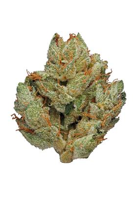 Sour Dubble - Hybrid Cannabis Strain