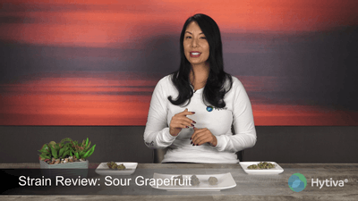 Sour Grapefruit - Hybrid Strain