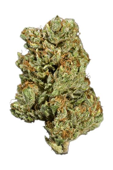 Sour Kush - Hybrid Cannabis Strain