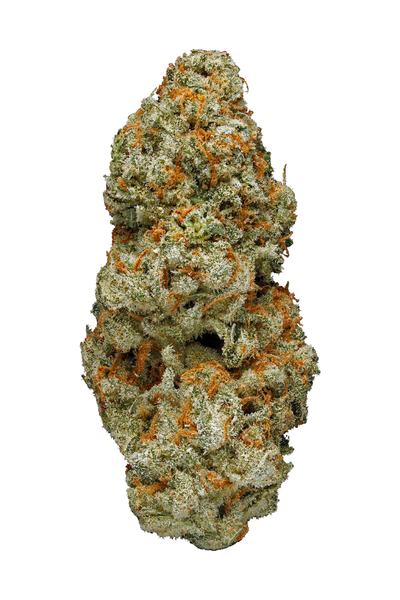 Sour LSD - Híbrida Cannabis Strain