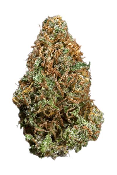 Sour Mango - Híbrido Cannabis Strain