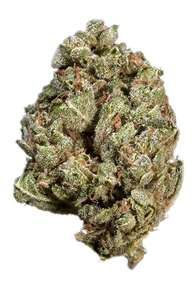 Sour OG - Hybrid Cannabis Strain