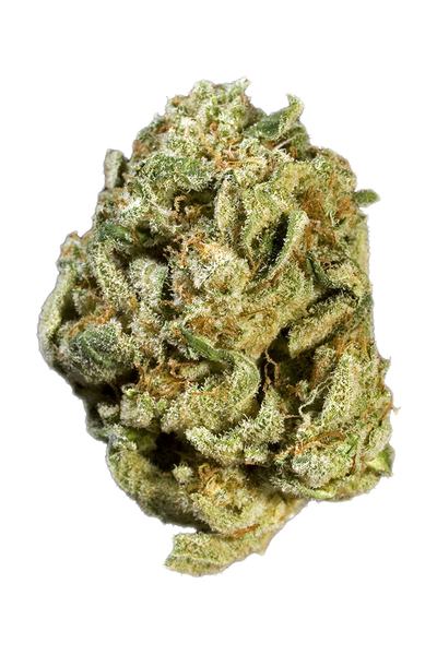 Sour PAK - Hybrid Cannabis Strain