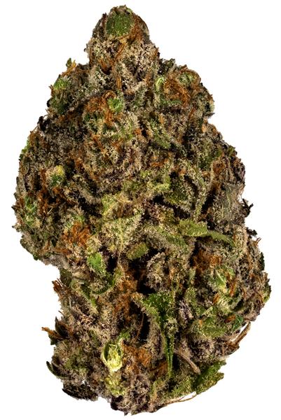 Sour Patch Kiss - Hybrid Cannabis Strain