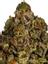 Sour Patch Kiss Hybrid Cannabis Strain Thumbnail