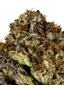 Sour Power OG Hybrid Cannabis Strain Thumbnail