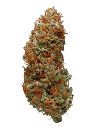 Sour Power - Sativa Cannabis Strain