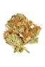 Sour Strawberry Kush Hybrid Cannabis Strain Thumbnail