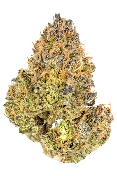 Sour Trix - Hybrid Cannabis Strain