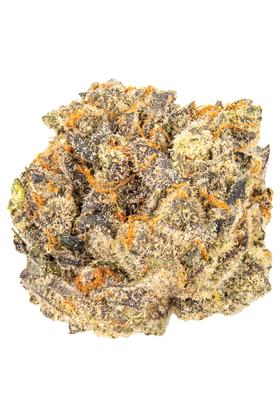 Southern Toad - Hybride Cannabis Strain