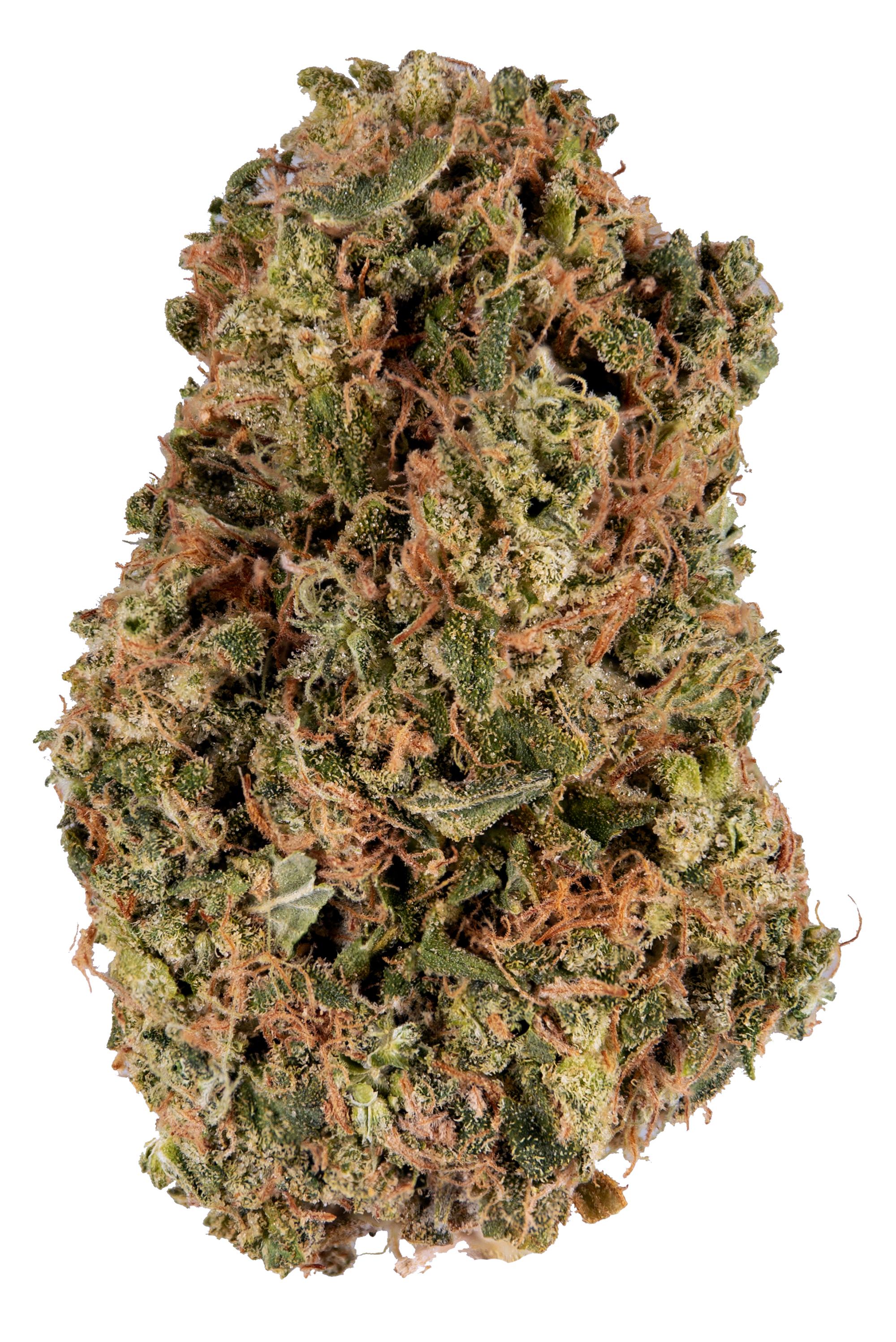Cultivars - CannaBay: Discover Central Coast Cannabis From Moss Landing, CA