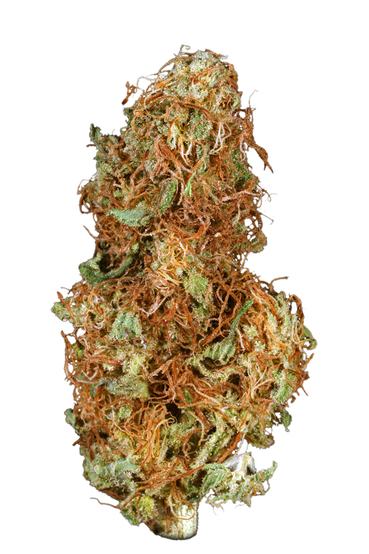 Space Cream - Hybrid Cannabis Strain