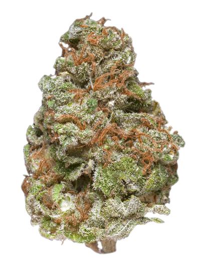 Space Dawg - Indica Cannabis Strain