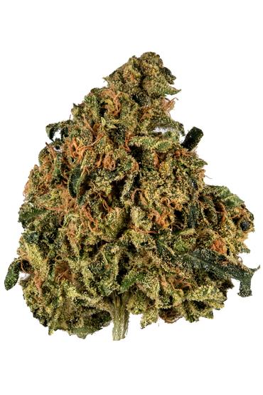 Spartan Snow - Hybrid Cannabis Strain