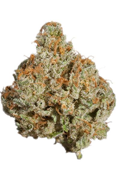 Special K - Hybrid Cannabis Strain