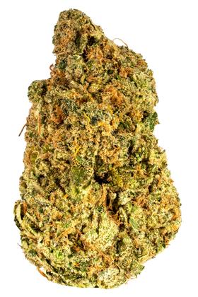 Stardawg - Híbrido Cannabis Strain