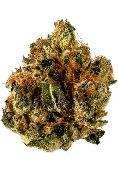 Star Killer - Hybrid Cannabis Strain