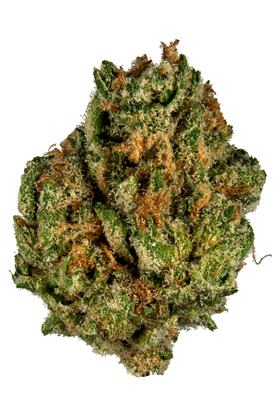 Starberry - Hybrid Cannabis Strain