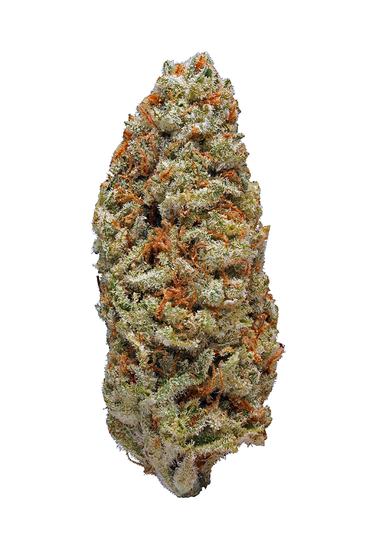 Starfighter - Hybrid Cannabis Strain