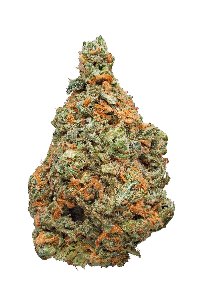 Starry Night Strain - Hybrid Cannabis Review, CBD : Hytiva