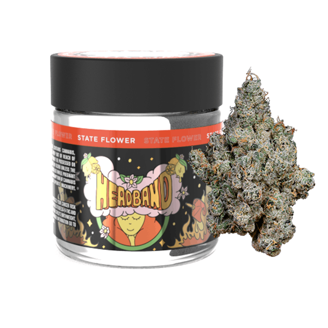 Headband Product Image