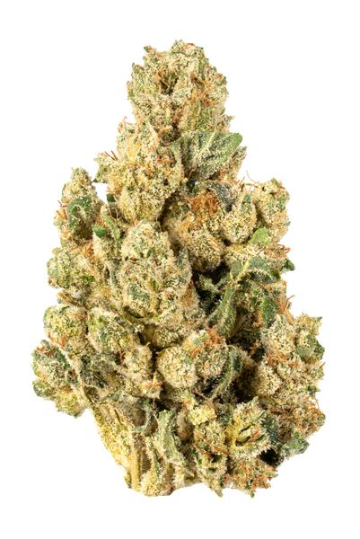 Sticky Larry - Hybrid Cannabis Strain