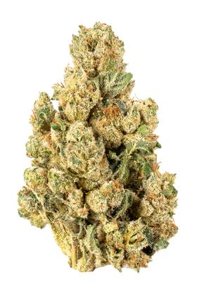 Sticky Larry - Híbrida Cannabis Strain