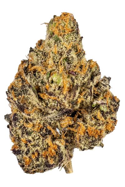 Stir Fry - Híbrida Cannabis Strain