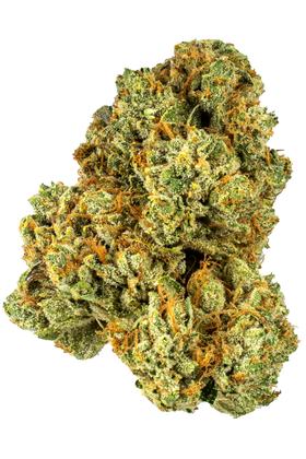 Stoney OG - Híbrido Cannabis Strain