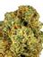 Stoney OG Hybrid Cannabis Strain Thumbnail