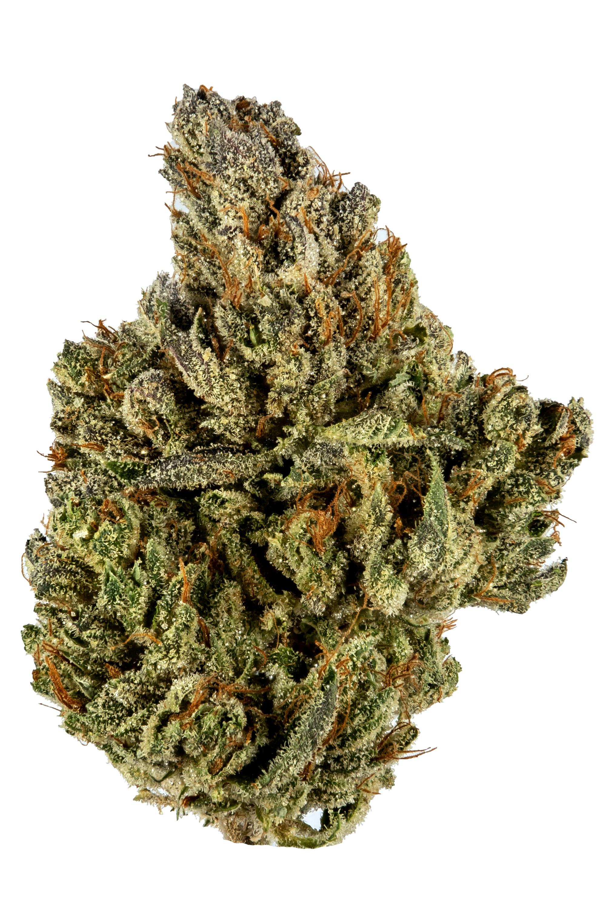 Earth Kush - 混合物 Cannabis Strain