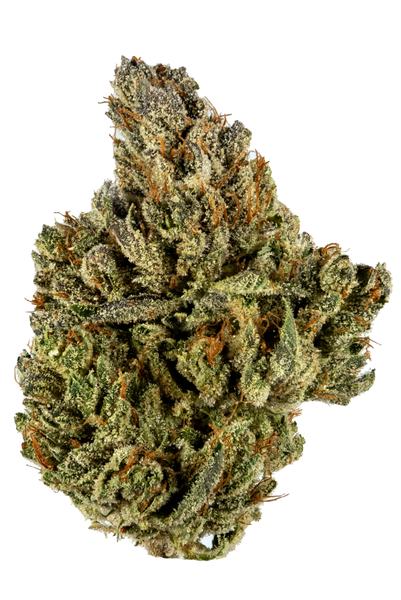 Earth Kush - Hybrid Cannabis Strain