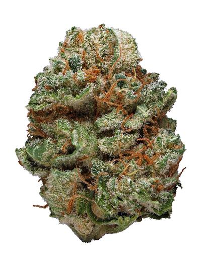 Strawberry Blue - Sativa Cannabis Strain