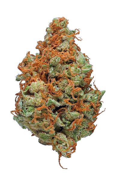 Strawberry Cough - Híbrido Cannabis Strain