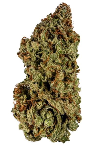 Strawberry Fields - Híbrido Cannabis Strain