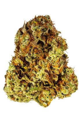 Strawberry Margarita - Híbrida Cannabis Strain