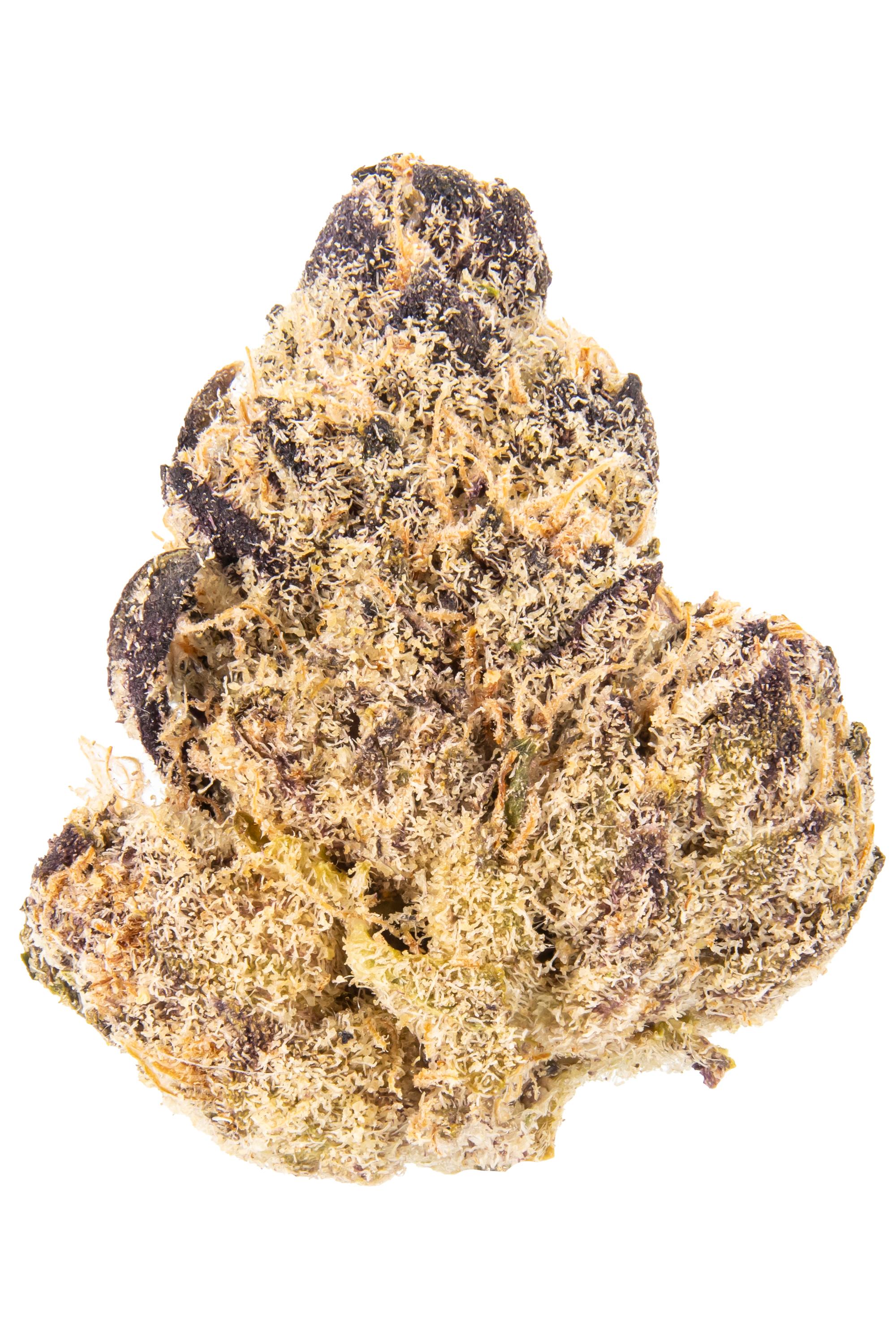 Sudz - Hybrid Cannabis Strain