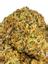 Suga Cookies Hybrid Cannabis Strain Thumbnail
