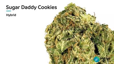 Sugar Daddy Cookies - Hybrid Strain