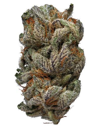 Sugar Daddy - Hybrid Cannabis Strain