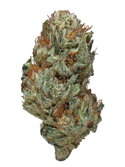 Sugar Shack - Híbrida Cannabis Strain