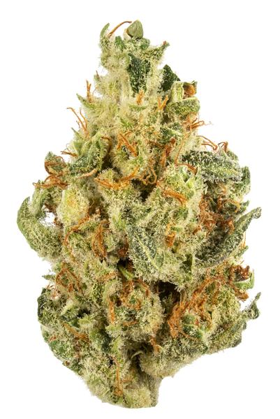 Sun God - Híbrida Cannabis Strain