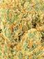 Sundae Driver Hybrid Cannabis Strain Thumbnail