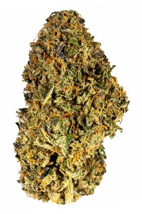 Sunkissed - Híbrido Cannabis Strain