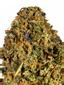 Sunkissed Hybrid Cannabis Strain Thumbnail