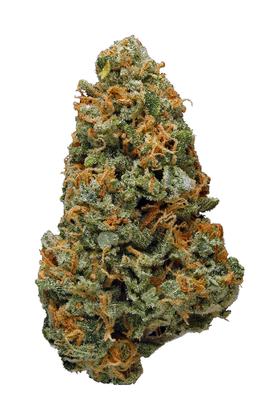 Sunkist - Híbrida Cannabis Strain
